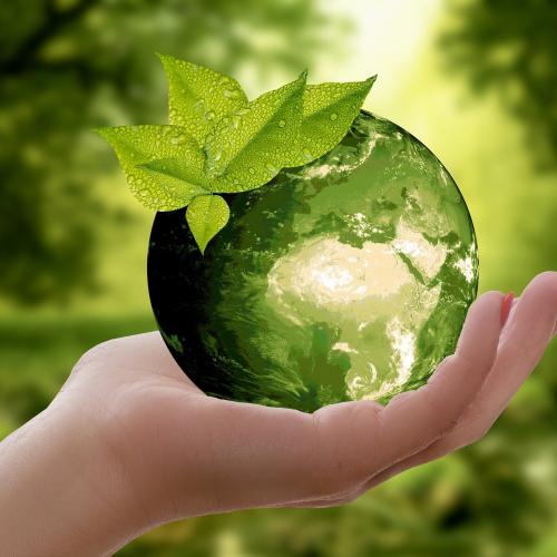 Cómo reducir tu impacto medioambiental