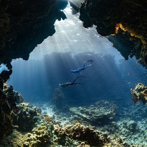 Buceo de lujo en Indonesia: Menjangan, Komodo y Wakatobi