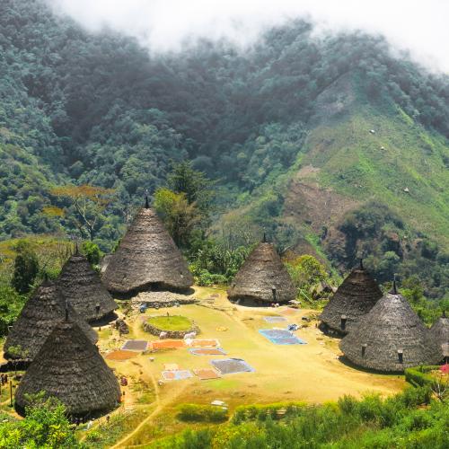Best things to do in Flores (Indonesia)
