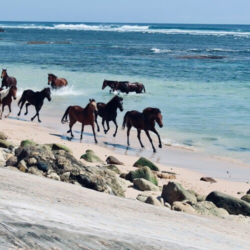 Sumba: la isla más exclusiva de Indonesia