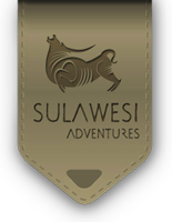 sulawesi Adventures. Indonesia travel guide